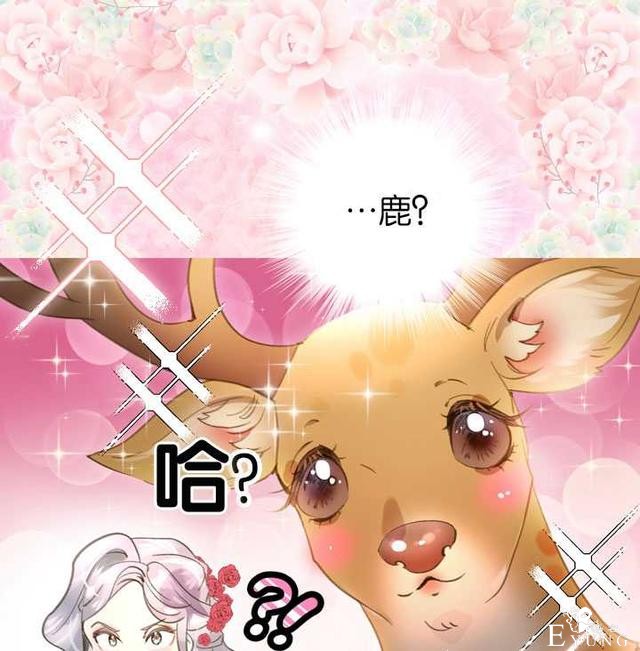 漫画：韩漫-女骑士的生存法则 16-37.jpg
