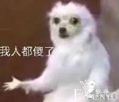 21岁女孩靠扮“女犬”，月入近百万？！看完我彻底裂开了......-1.jpg