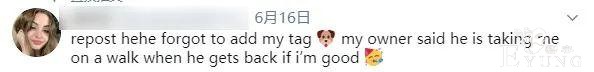 21岁女孩靠扮“女犬”，月入近百万？！看完我彻底裂开了......-21.jpg