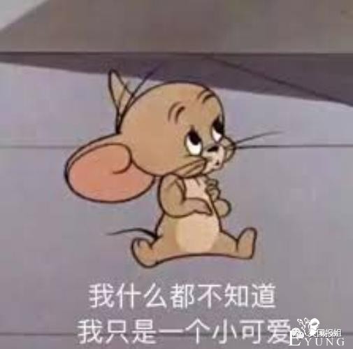 21岁女孩靠扮“女犬”，月入近百万？！看完我彻底裂开了......-29.jpg