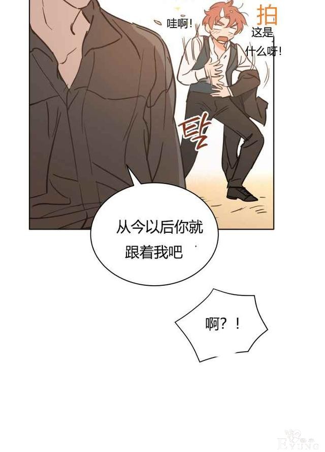 漫画：韩漫-恋上恶龙的女骑士21-30.jpg