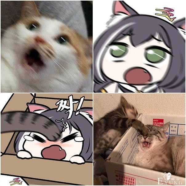家里有猫多欢乐？画师大佬把猫咪和公主连结做了结合，快给我变-12.jpg