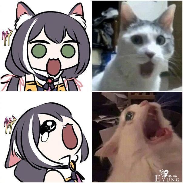 家里有猫多欢乐？画师大佬把猫咪和公主连结做了结合，快给我变-13.jpg
