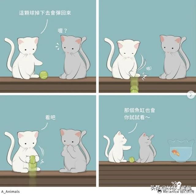 「短漫」一大大波超可爱暖萌搞笑小漫画-2.jpg