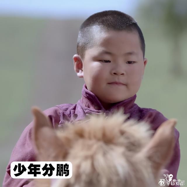 岳云鹏分享长得像的人，看见那日本分鹏我愣了，这不松冈祯丞么？-4.jpg