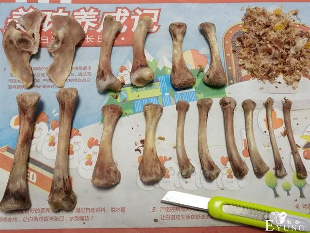 手工大神变废为宝，用吃剩的鸡骨头做李白手办，隔壁小孩都看呆了-3.jpg