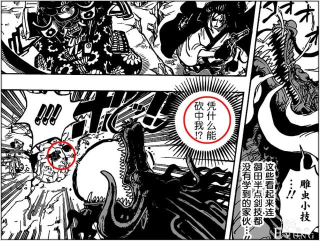 海贼王：46亿凯多跌下神坛，单挑九侠被暴打，龙头差点不保-5.jpg
