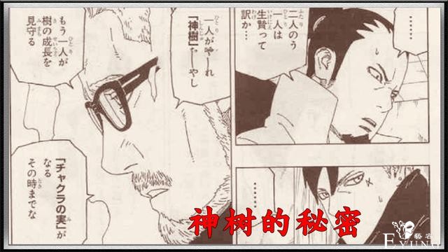 博人传51话：博人是“祭品”，查克拉果实秘密揭晓-2.jpg
