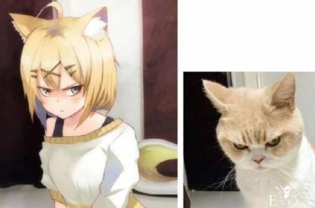 当动物遇上二次元，猫娘看起来超可爱，二哈也可以很萌-1.jpg