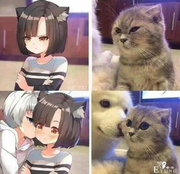 当动物遇上二次元，猫娘看起来超可爱，二哈也可以很萌-5.jpg