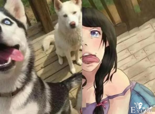 当动物遇上二次元，猫娘看起来超可爱，二哈也可以很萌-4.jpg
