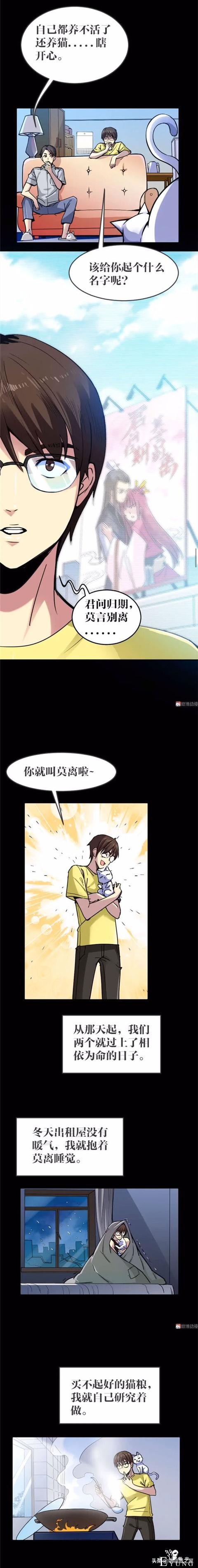 「人性漫画」可以做出各种美食的神奇猫咪-10.jpg