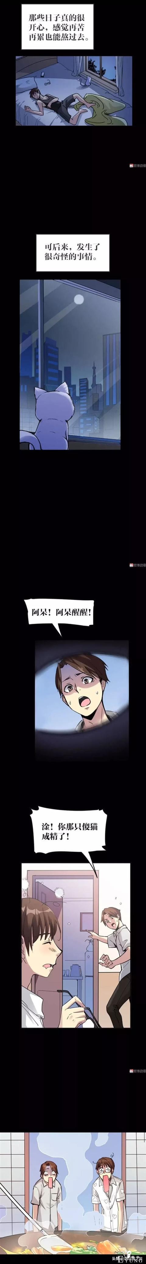 「人性漫画」可以做出各种美食的神奇猫咪-11.jpg