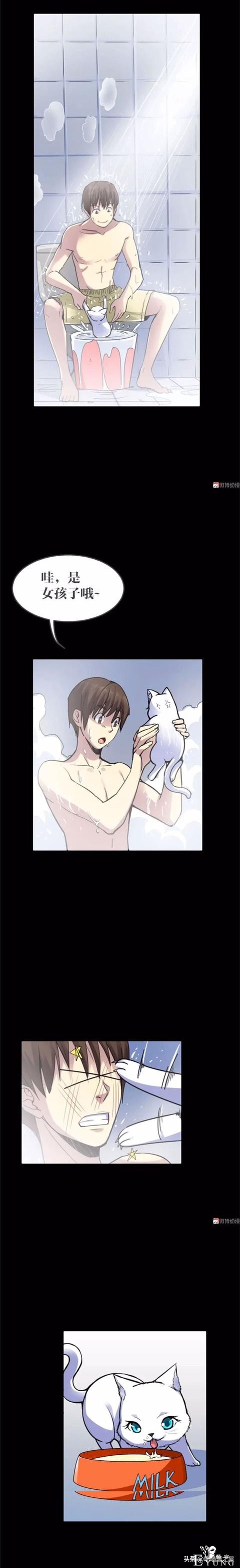 「人性漫画」可以做出各种美食的神奇猫咪-9.jpg