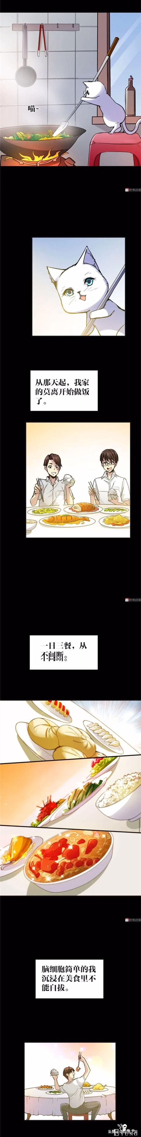 「人性漫画」可以做出各种美食的神奇猫咪-12.jpg