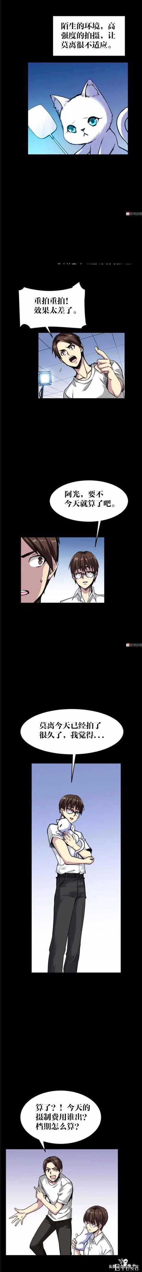 「人性漫画」可以做出各种美食的神奇猫咪-16.jpg