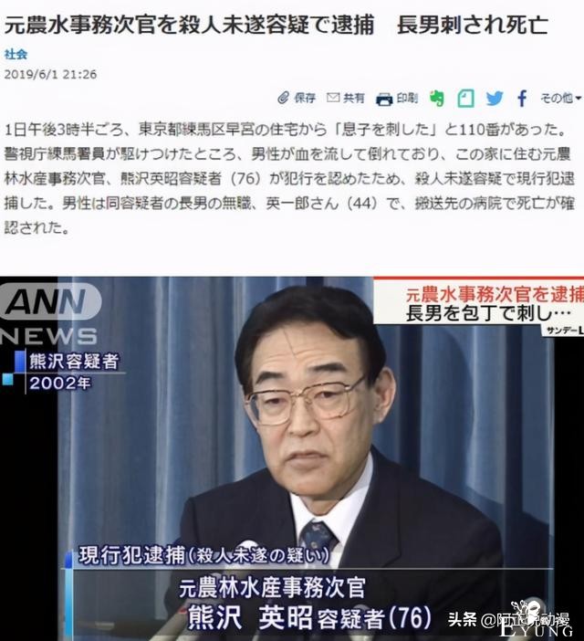 高官捅死沉迷游戏的儿子，辩护律师为其做无罪辩护｜ACGN趣闻-9.jpg