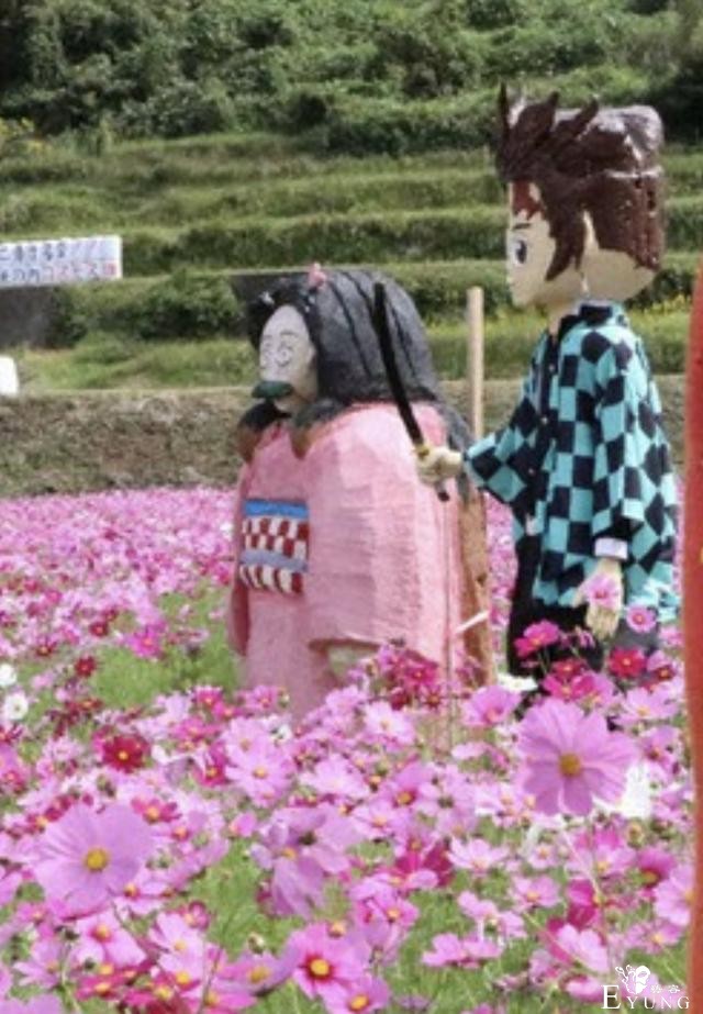 日本商家强行蹭鬼灭热点，做出了辣眼睛的“大婶”祢豆子-7.jpg