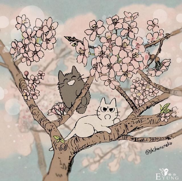 虽然猫耳娘很可爱，但是这位画师大佬画的暴躁猫猫也超萌的-2.jpg