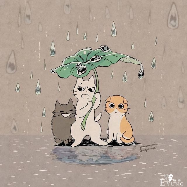 虽然猫耳娘很可爱，但是这位画师大佬画的暴躁猫猫也超萌的-1.jpg