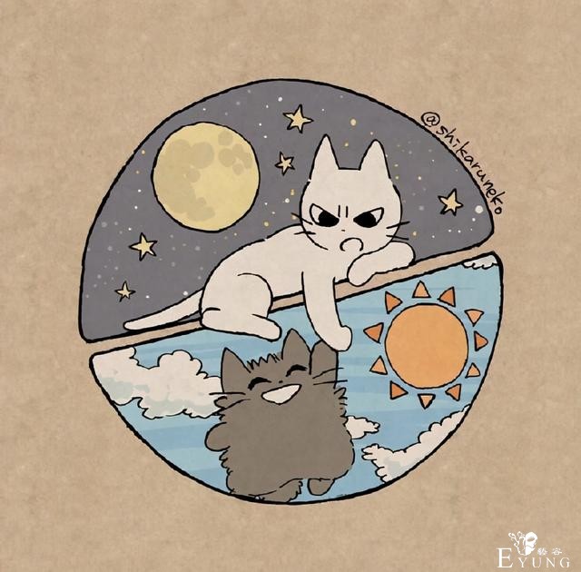 虽然猫耳娘很可爱，但是这位画师大佬画的暴躁猫猫也超萌的-8.jpg