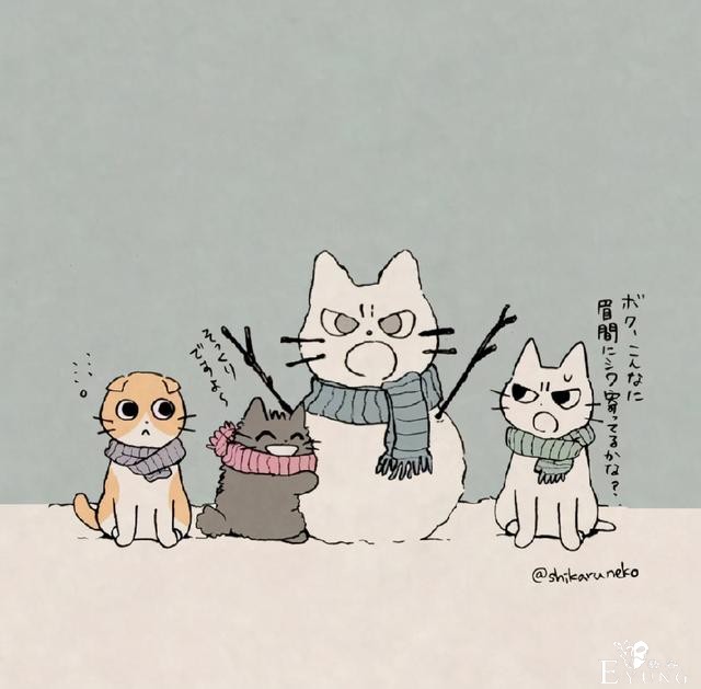 虽然猫耳娘很可爱，但是这位画师大佬画的暴躁猫猫也超萌的-5.jpg