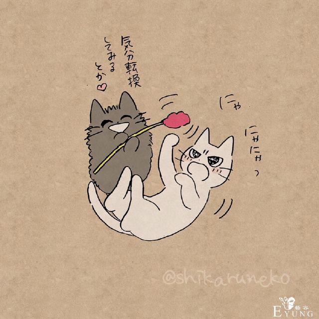 虽然猫耳娘很可爱，但是这位画师大佬画的暴躁猫猫也超萌的-10.jpg