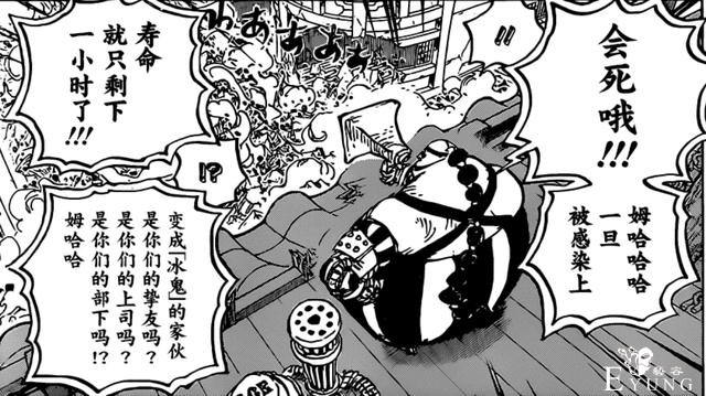 海贼王994话汉化：奎因给出“解药”，不是卧底就是“铁憨憨”-6.jpg