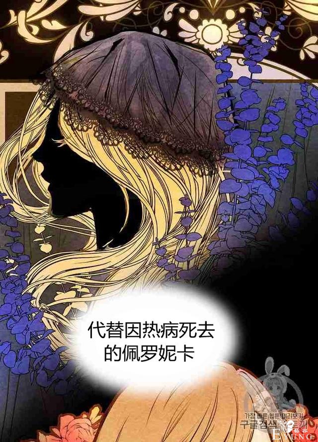 漫画：韩漫-影子皇妃1-7.jpg