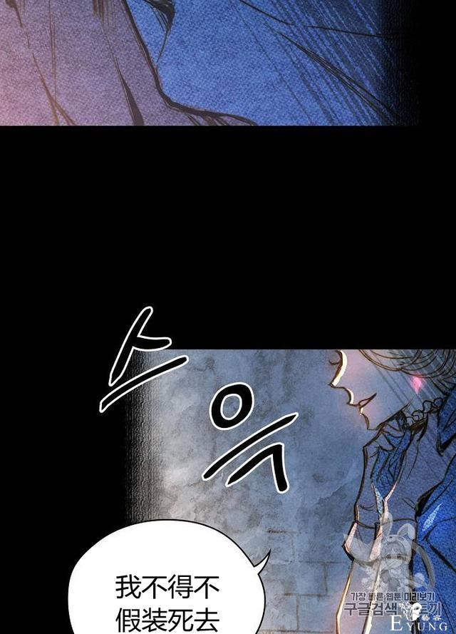 漫画：韩漫-影子皇妃1-33.jpg