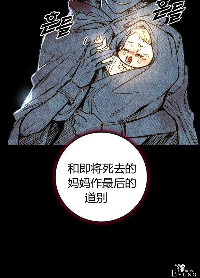 漫画：韩漫-影子皇妃1-55.jpg