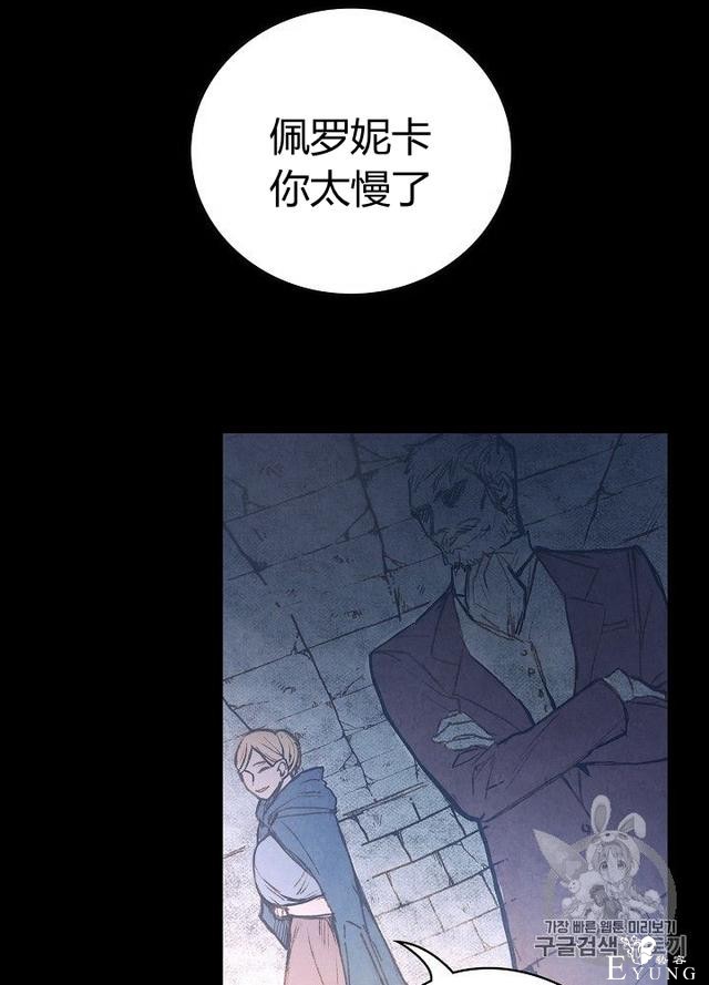漫画：韩漫-影子皇妃1-63.jpg
