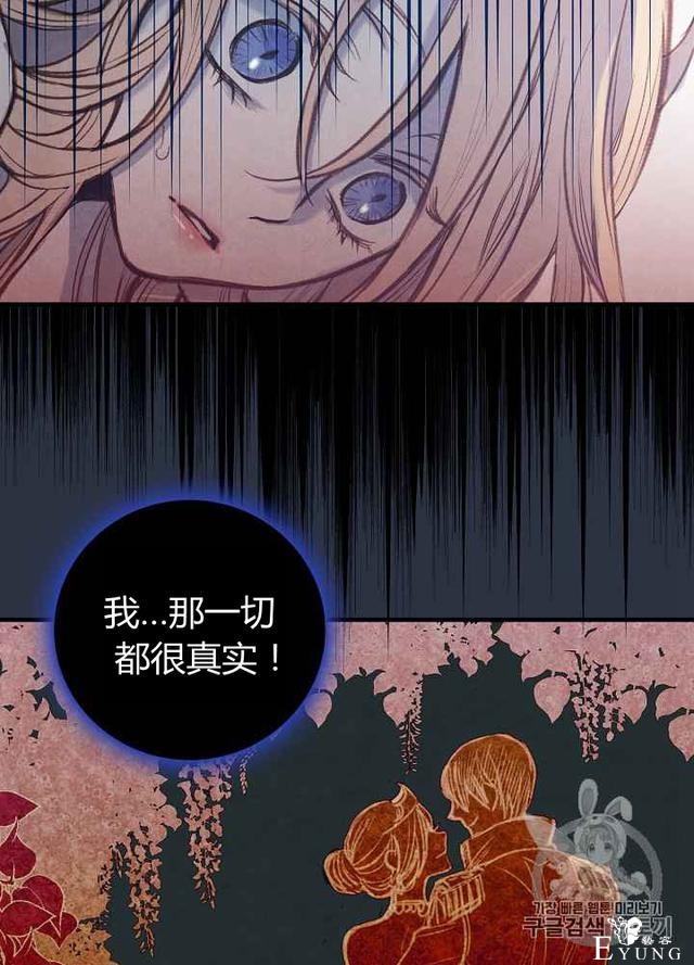 漫画：韩漫-影子皇妃2-13.jpg