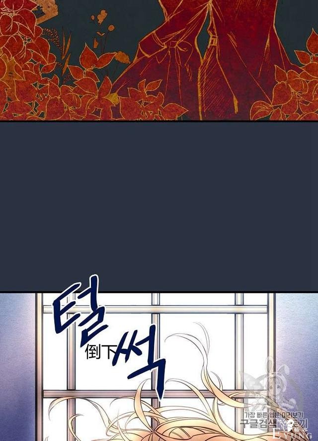 漫画：韩漫-影子皇妃2-14.jpg
