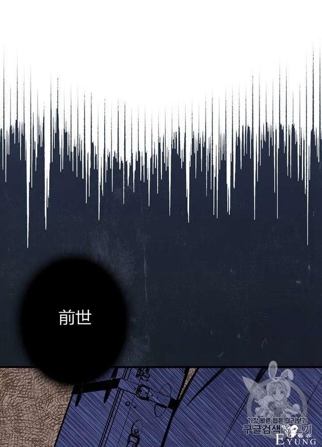 漫画：韩漫-影子皇妃3-57.jpg