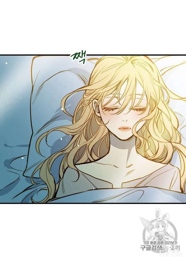 漫画：韩漫-影子皇妃3-66.jpg