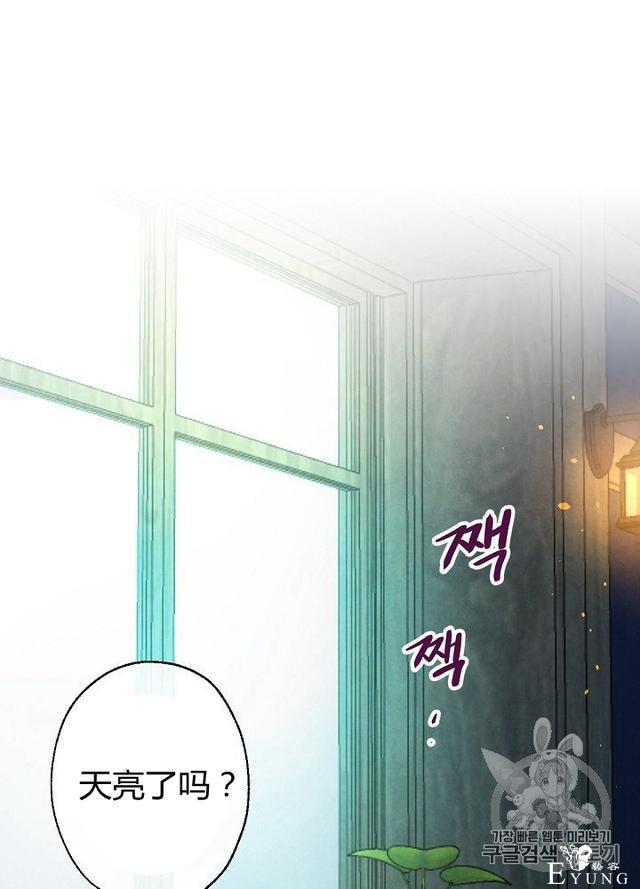 漫画：韩漫-影子皇妃3-68.jpg
