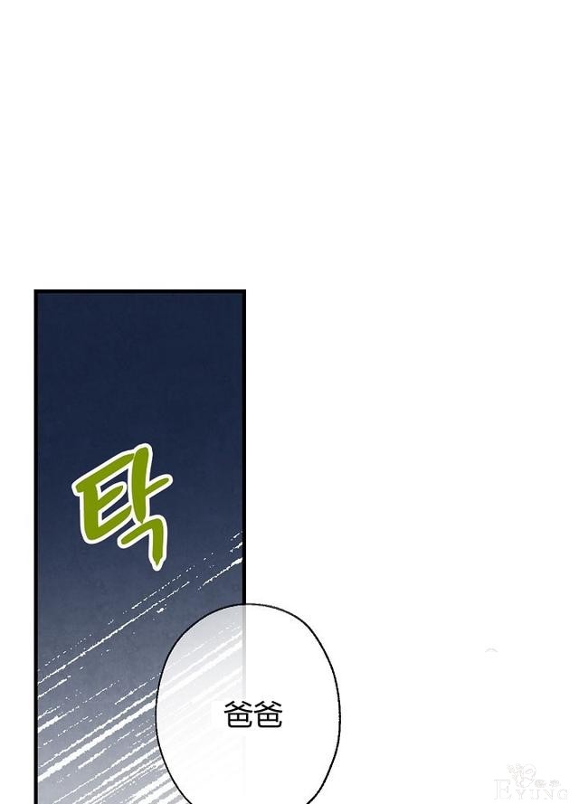 漫画：韩漫-影子皇妃4-13.jpg