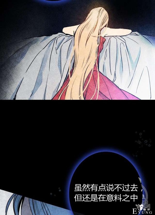 漫画：韩漫-影子皇妃4-30.jpg