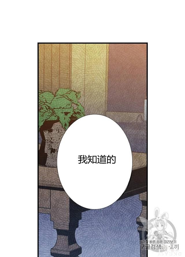漫画：韩漫-影子皇妃6-10.jpg