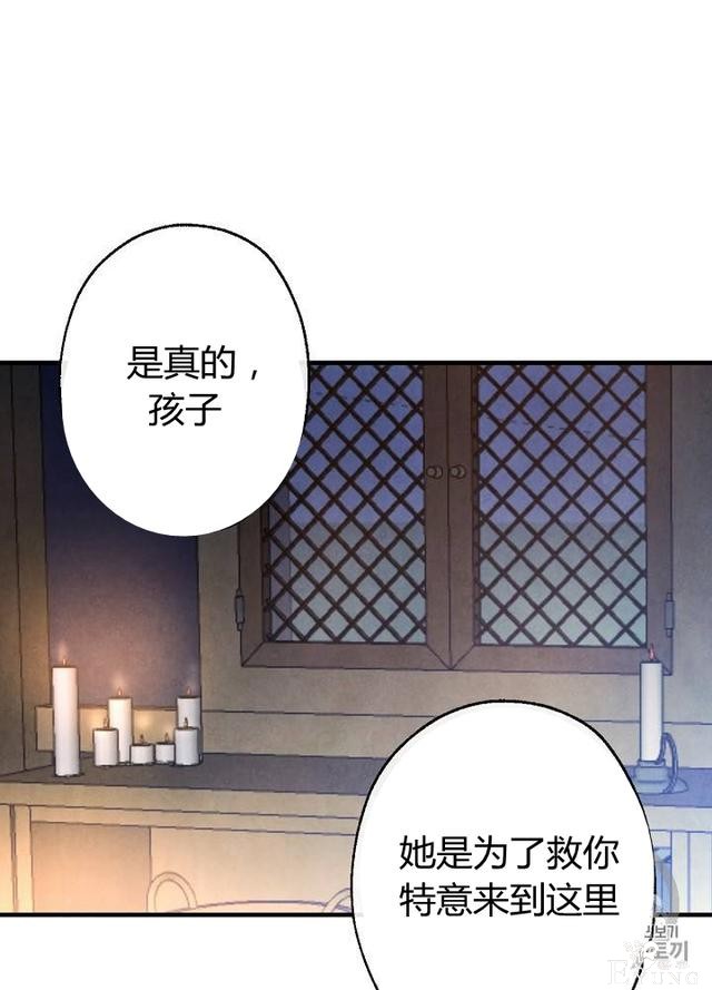漫画：韩漫-影子皇妃6-15.jpg
