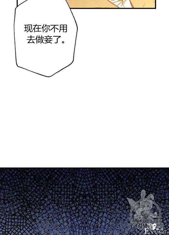 漫画：韩漫-影子皇妃6-17.jpg