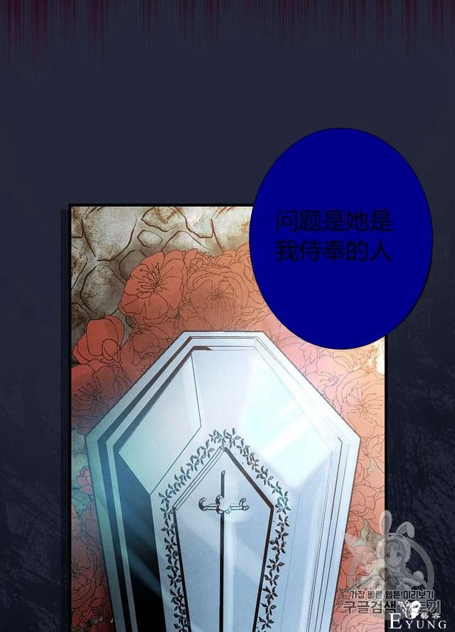 漫画：韩漫-影子皇妃6-28.jpg