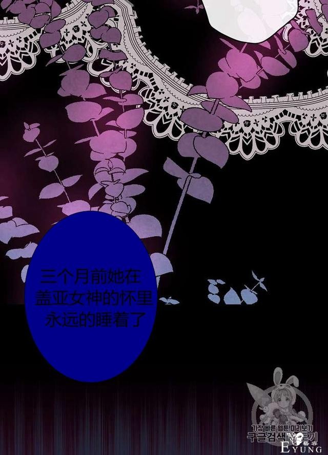 漫画：韩漫-影子皇妃6-27.jpg
