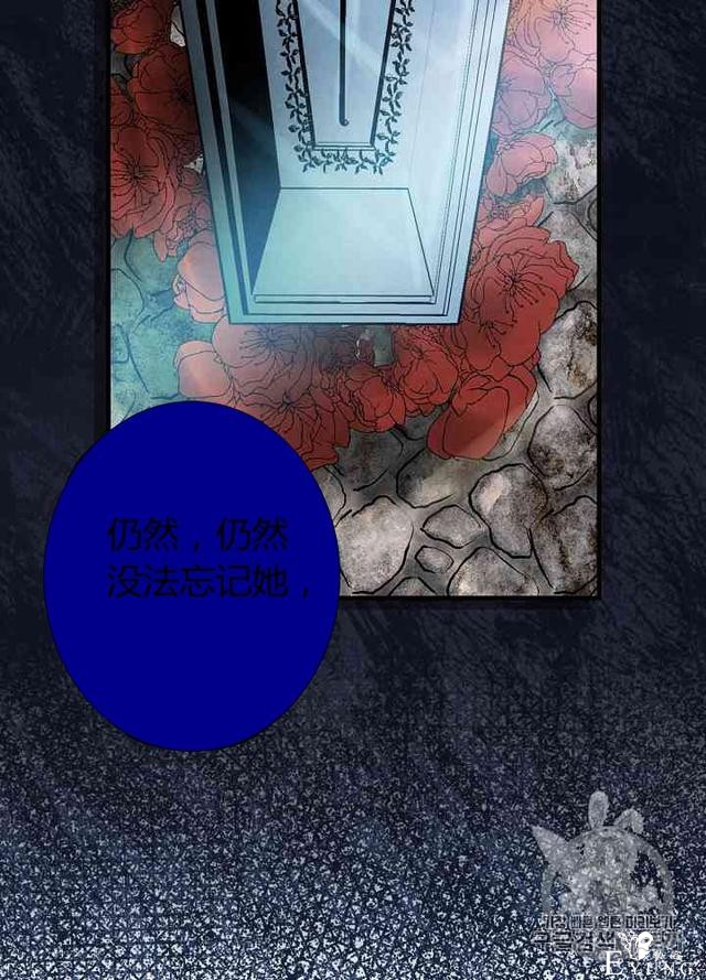 漫画：韩漫-影子皇妃6-29.jpg