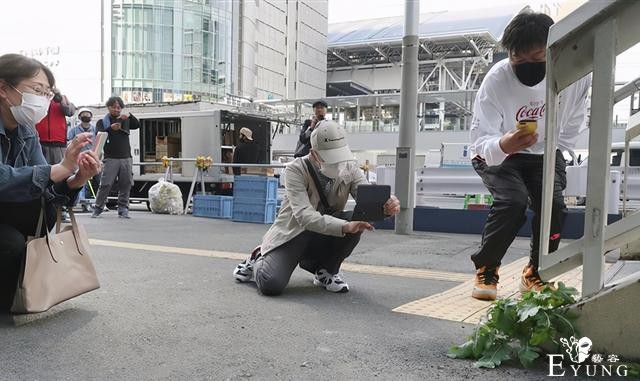 日本天桥下长出萝卜，之前停车场里还长出过彼岸花-2.jpg