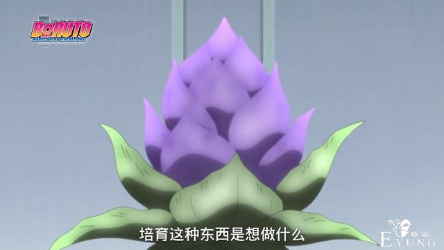 博人传174集图透：乱斗大升级，新神树诞生，博娜合体激战迪帕-4.jpg