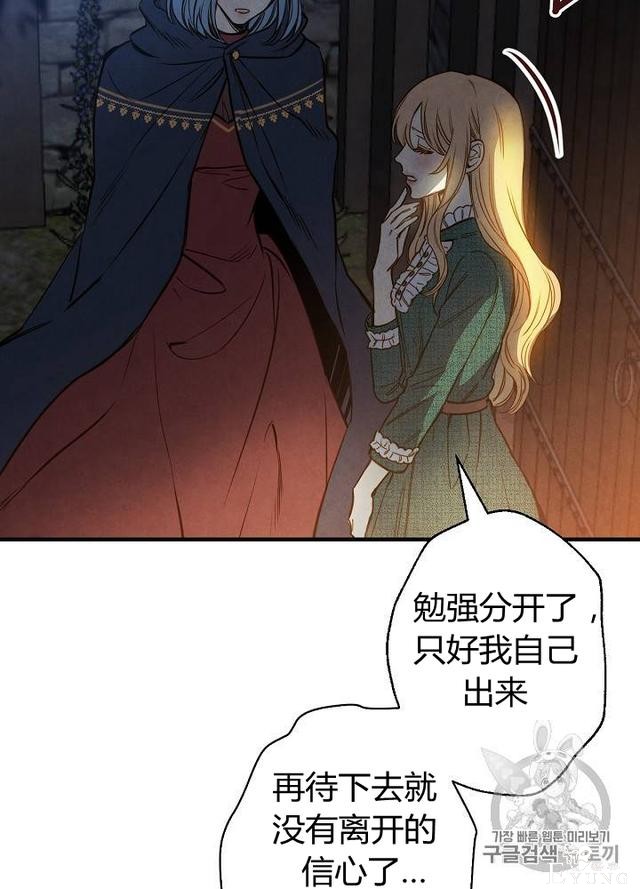 漫画：韩漫-影子皇妃8-12.jpg