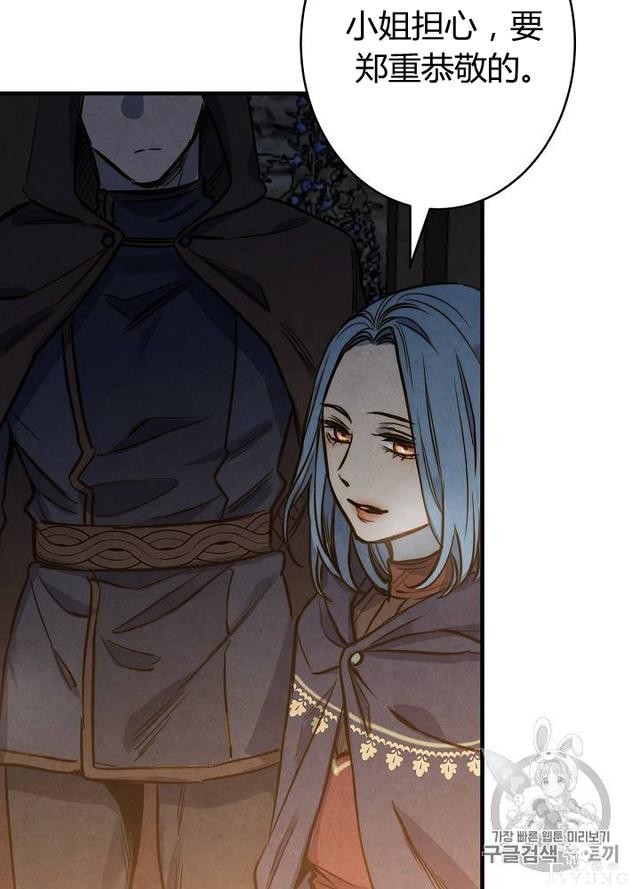 漫画：韩漫-影子皇妃8-18.jpg