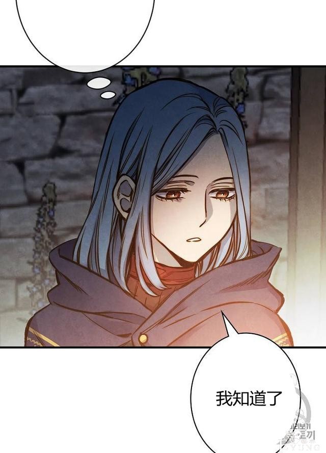 漫画：韩漫-影子皇妃8-15.jpg